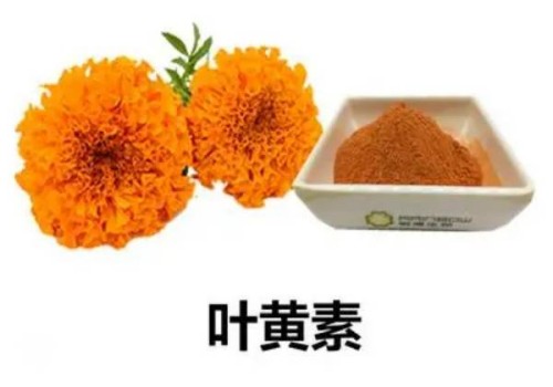 寧波試管嬰兒價(jià)格：懷孕期間服用中藥要小心，最好在醫(yī)生的指導(dǎo)下服用